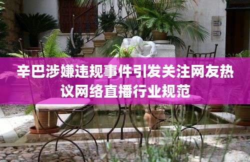 辛巴涉嫌违规事件引发关注网友热议网络直播行业规范