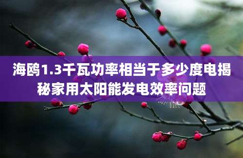 海鸥1.3千瓦功率相当于多少度电揭秘家用太阳能发电效率问题