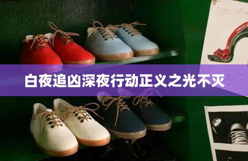 白夜追凶深夜行动正义之光不灭