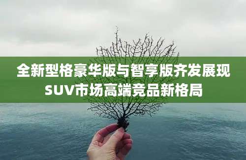 全新型格豪华版与智享版齐发展现SUV市场高端竞品新格局