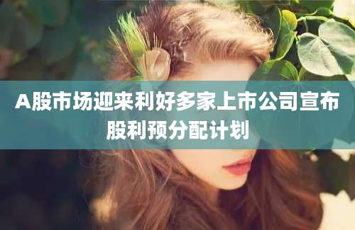 A股市场迎来利好多家上市公司宣布股利预分配计划