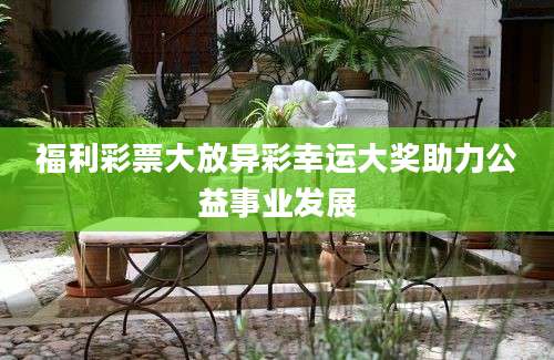 福利彩票大放异彩幸运大奖助力公益事业发展
