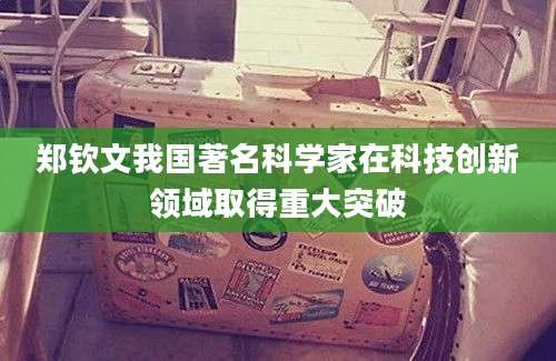 郑钦文我国著名科学家在科技创新领域取得重大突破
