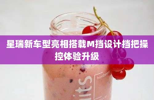 星瑞新车型亮相搭载M挡设计挡把操控体验升级