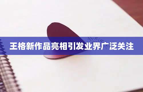王格新作品亮相引发业界广泛关注