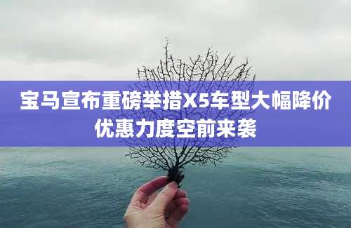 宝马宣布重磅举措X5车型大幅降价优惠力度空前来袭