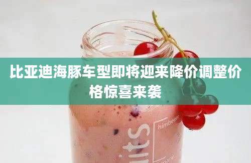 比亚迪海豚车型即将迎来降价调整价格惊喜来袭
