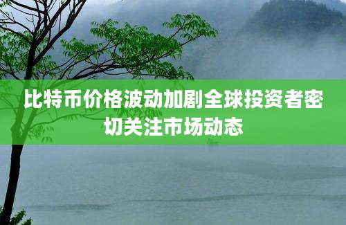比特币价格波动加剧全球投资者密切关注市场动态