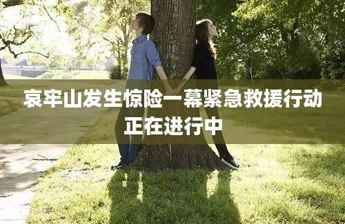 哀牢山发生惊险一幕紧急救援行动正在进行中