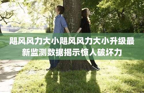 飓风风力大小飓风风力大小升级最新监测数据揭示惊人破坏力