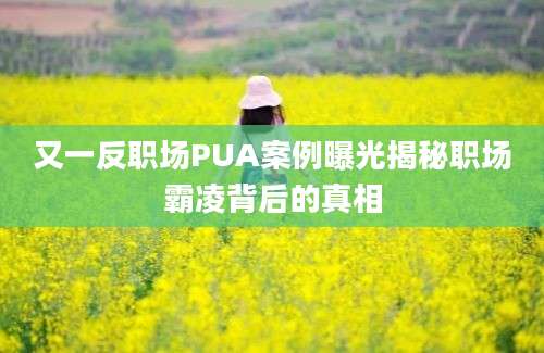 又一反职场PUA案例曝光揭秘职场霸凌背后的真相