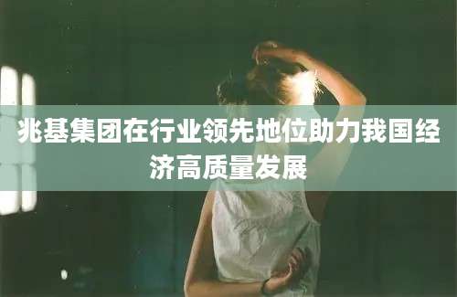 兆基集团在行业领先地位助力我国经济高质量发展