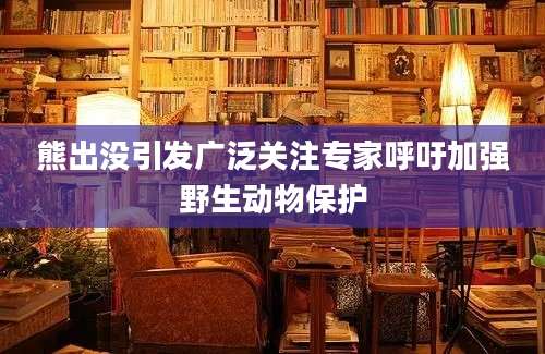 熊出没引发广泛关注专家呼吁加强野生动物保护