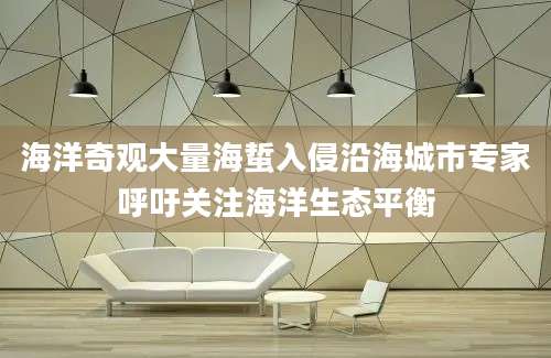 海洋奇观大量海蜇入侵沿海城市专家呼吁关注海洋生态平衡