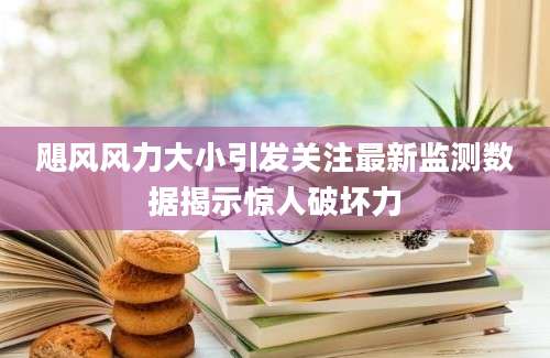 飓风风力大小引发关注最新监测数据揭示惊人破坏力