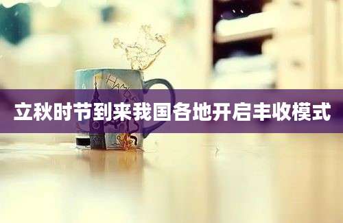 立秋时节到来我国各地开启丰收模式
