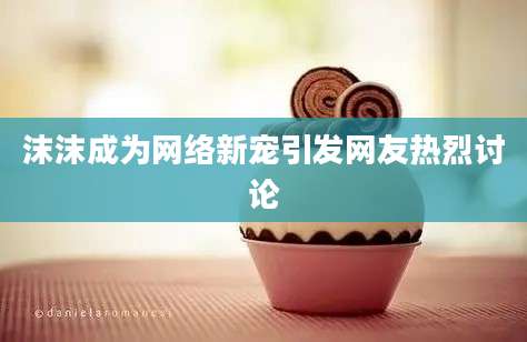 沫沫成为网络新宠引发网友热烈讨论