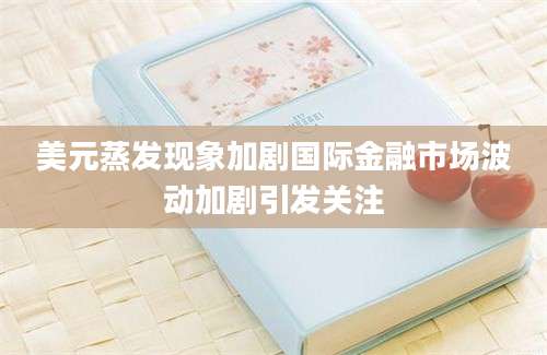 美元蒸发现象加剧国际金融市场波动加剧引发关注
