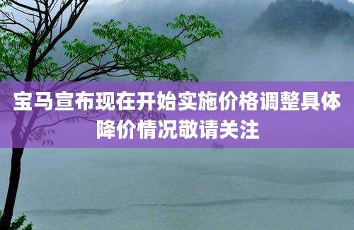 宝马宣布现在开始实施价格调整具体降价情况敬请关注