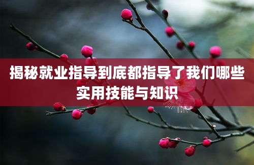 揭秘就业指导到底都指导了我们哪些实用技能与知识
