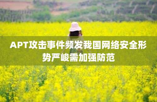 APT攻击事件频发我国网络安全形势严峻需加强防范