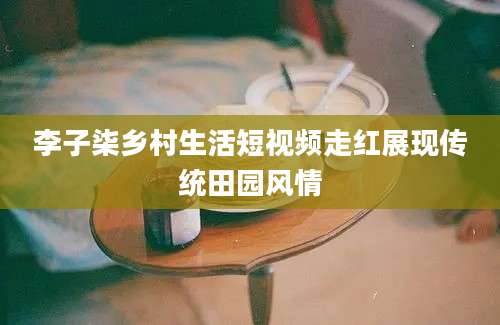 李子柒乡村生活短视频走红展现传统田园风情