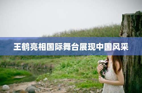 王鹤亮相国际舞台展现中国风采