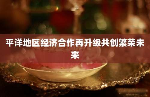 平洋地区经济合作再升级共创繁荣未来