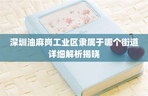 深圳油麻岗工业区隶属于哪个街道详细解析揭晓