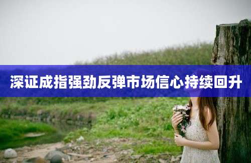 深证成指强劲反弹市场信心持续回升