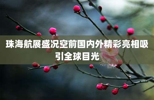 珠海航展盛况空前国内外精彩亮相吸引全球目光