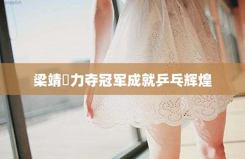 梁靖崑力夺冠军成就乒乓辉煌
