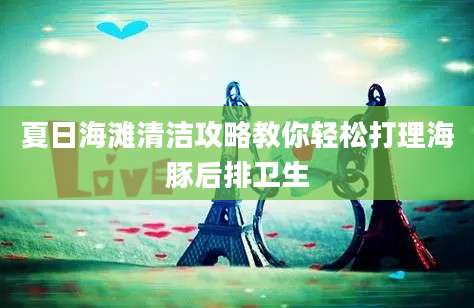 夏日海滩清洁攻略教你轻松打理海豚后排卫生