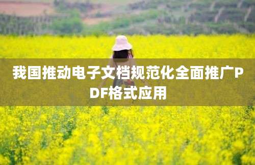 我国推动电子文档规范化全面推广PDF格式应用