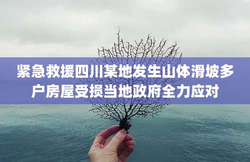 紧急救援四川某地发生山体滑坡多户房屋受损当地政府全力应对