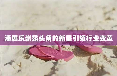 潘展乐崭露头角的新星引领行业变革