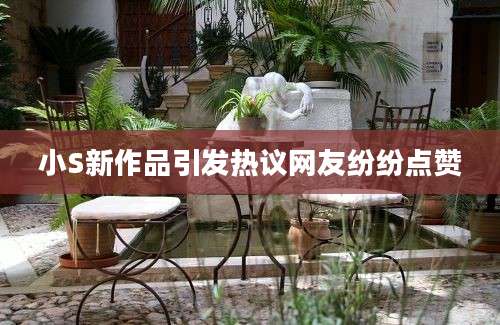 小S新作品引发热议网友纷纷点赞