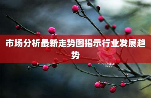 市场分析最新走势图揭示行业发展趋势