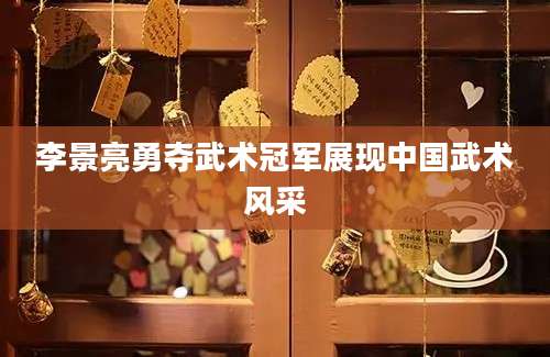 李景亮勇夺武术冠军展现中国武术风采