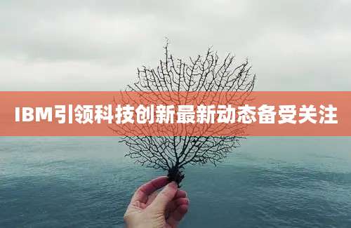 IBM引领科技创新最新动态备受关注