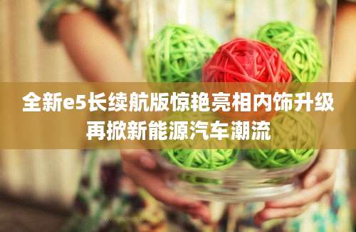 全新e5长续航版惊艳亮相内饰升级再掀新能源汽车潮流