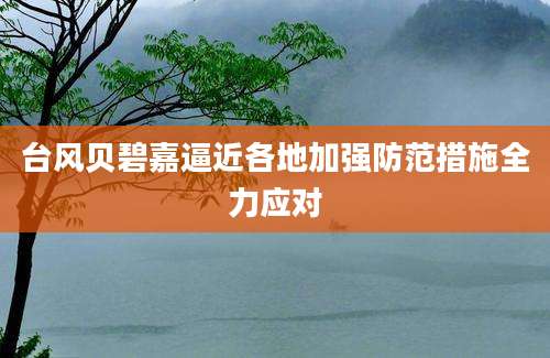 台风贝碧嘉逼近各地加强防范措施全力应对