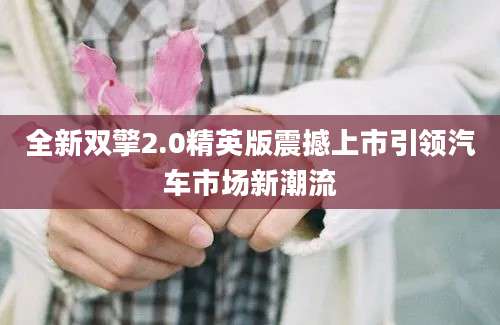 全新双擎2.0精英版震撼上市引领汽车市场新潮流