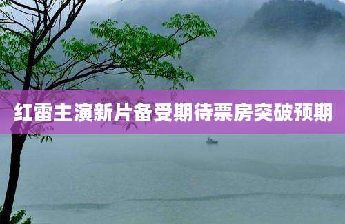 红雷主演新片备受期待票房突破预期