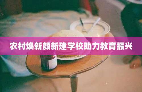 农村焕新颜新建学校助力教育振兴