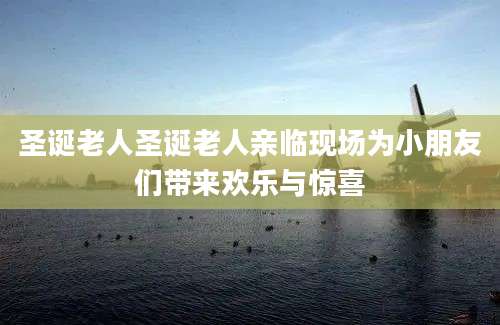 圣诞老人圣诞老人亲临现场为小朋友们带来欢乐与惊喜