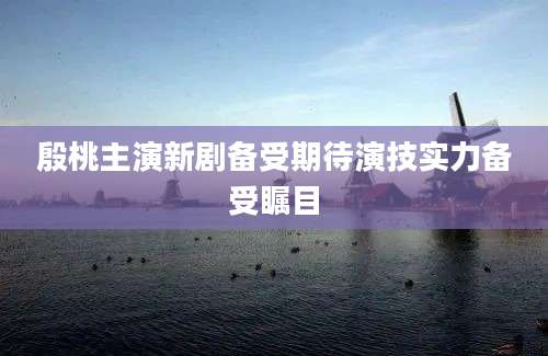殷桃主演新剧备受期待演技实力备受瞩目