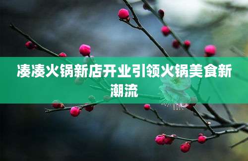 凑凑火锅新店开业引领火锅美食新潮流