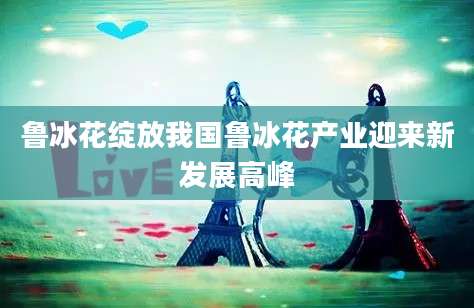 鲁冰花绽放我国鲁冰花产业迎来新发展高峰