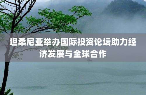 坦桑尼亚举办国际投资论坛助力经济发展与全球合作
